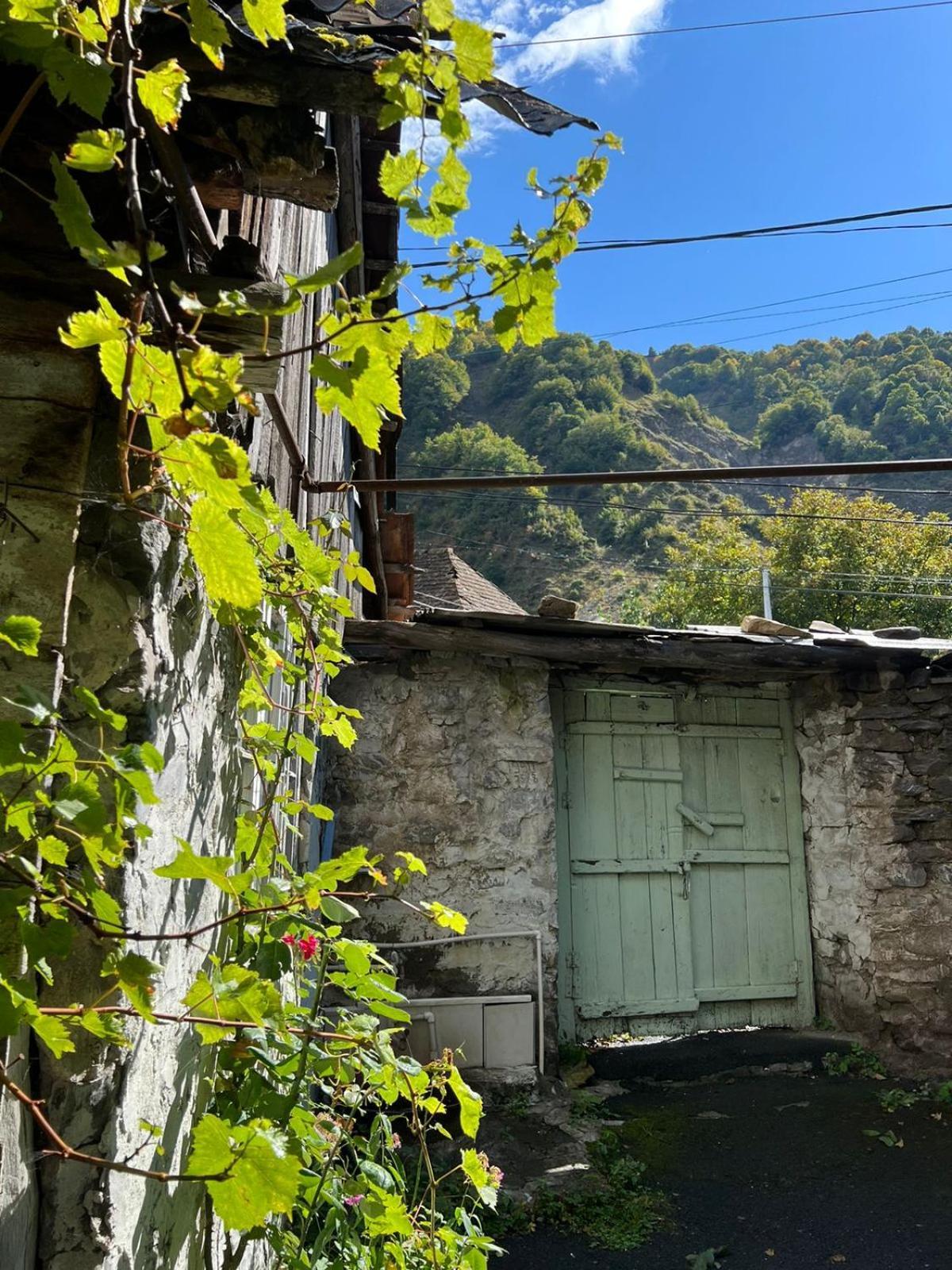 Guesthouse Ilisu Qax Buitenkant foto